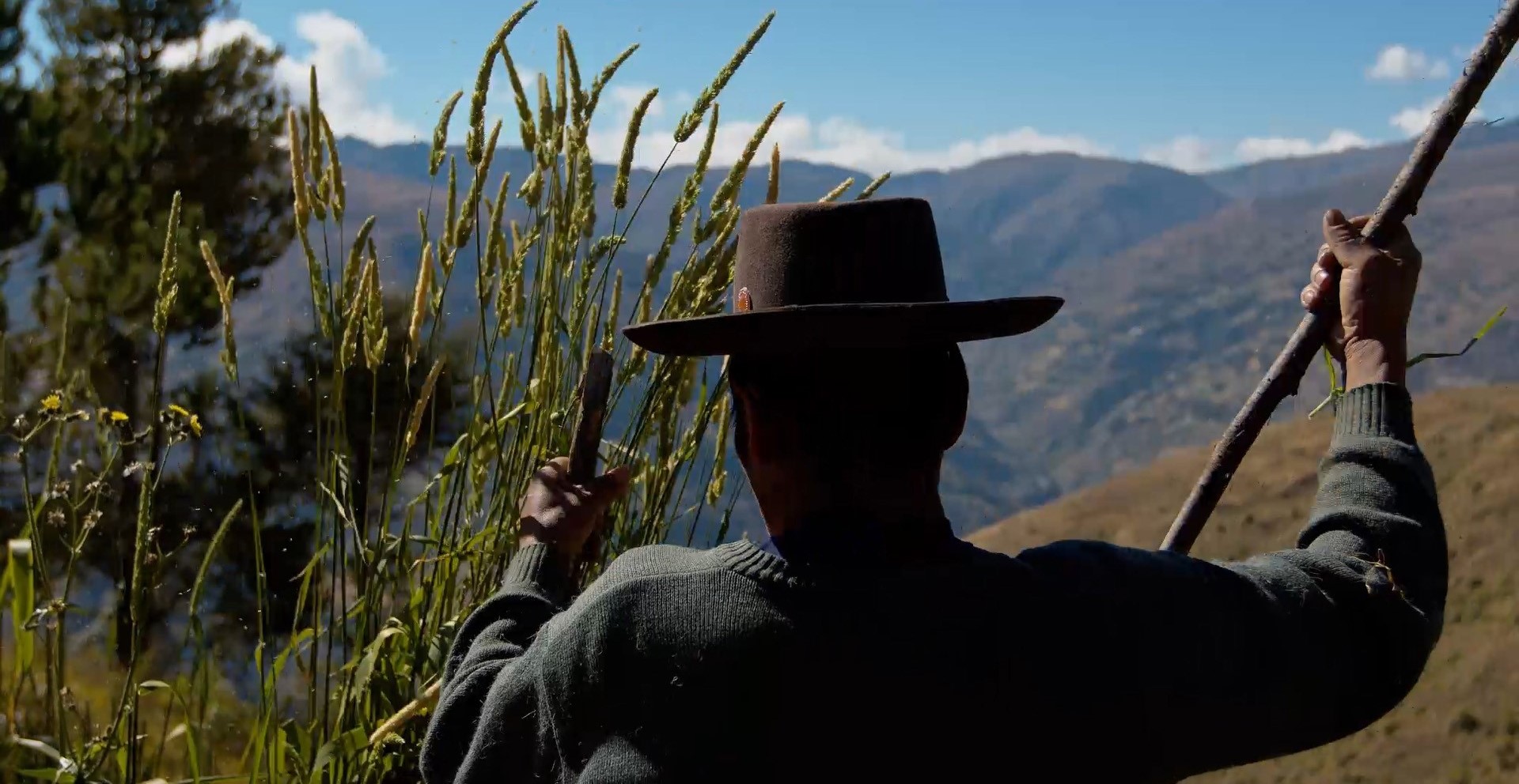 Recent Acquisitions to the WFG Catalogue